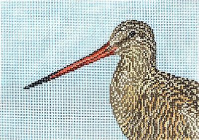 Canvas~Marbled Godwit Shore Bird handpainted 18mesh Needlepoint Canvas ~by Needle Crossings