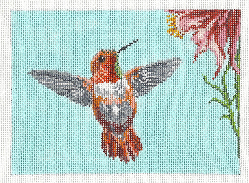 Bird Rufous Hummingbird Bird & Flower handpainted 18 Mesh Needlepoin