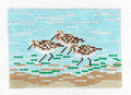 3 SANDPIPERS Insert to fit Planet Earth Passport Case handpainted Needlepoint Canvas by Needle Crossings