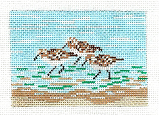 3 SANDPIPERS Insert to fit Planet Earth Passport Case handpainted Needlepoint Canvas by Needle Crossings