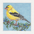 Bird ~ Goldfinch Bird 4.5" Square 13 Mesh handpainted Needlepoint Canvas by Needle Crossings