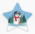 Christmas ~ Snowman & Cardinal STAR Ornament 18 mesh handpainted Needlepoint  by Susan Roberts