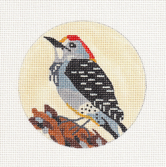 Bird Round ~ Woodpecker Bird handpainted 4" Rd. Needlepoint Ornament  by Melissa Prince