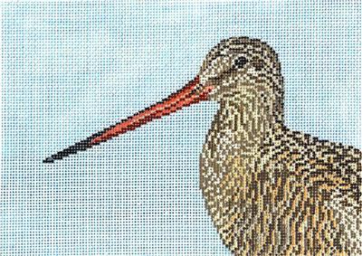 Canvas~Marbled Godwit Shore Bird handpainted 18mesh Needlepoint Canvas  ~by Needle Crossings