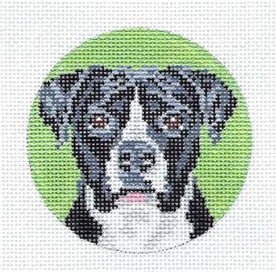 Dog Round ~ Pit Bull Black & White Dog 3" handpainted Needlepoint Canvas by Needle Crossings
