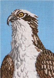 Canvas~Osprey "Fish Eagle" Bird handpainted 13 mesh Needlepoint Canvas ~by Needle Crossings