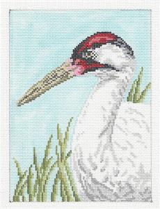 Bird Canvas ~ American WHOOPING CRANE Bird handpainted Needlepoint Canvas by Needle Crossings