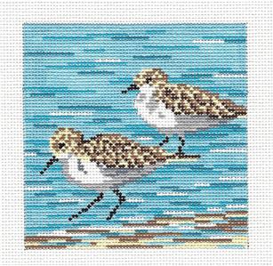Bird Canvas ~ 2 Sandpipers Bird 4" Sq. handpainted COASTER Needlepoint Canvas by Needle Crossings