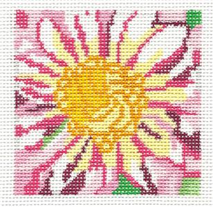 Coaster ~ Pink Dahlia 4" Coaster handpainted Needlepoint Canvases 13m by Jean Smith
