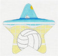 Star~BEACH VOLLEYBALL Sports Star HP Needlepoint Canvas by Raymond Crawford