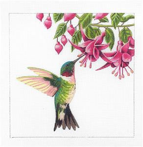 Bird Canvas ~ Ruby Throat Hummingbird handpainted Needlepoint Canvas by LIZ from Susan Roberts
