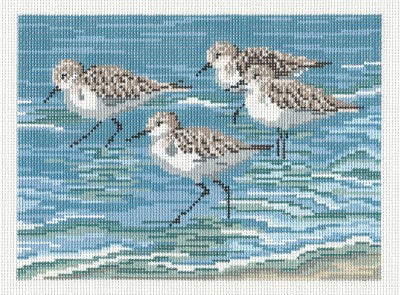 Canvas ~ Four Sanderlings on the Beach in the Surf handpainted 18 mesh Needlepoint Canvas by Needle Crossings
