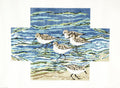 Brick Cover ~ 5 Sanderlings at the Waters Edge handpainted 13Mesh Needlepoint Canvas by Needle Crossings