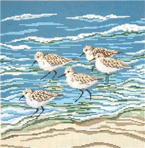 Bird Canvas ~ LG. Five Sanderlings in the Surf 13 MESH handpainted Needlepoint Canvas by Needle Crossings