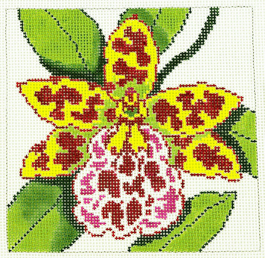 Floral Canvas ~ Wild Cat Orchid 12 Mesh handpainted Needlepoint Canvas by LEE