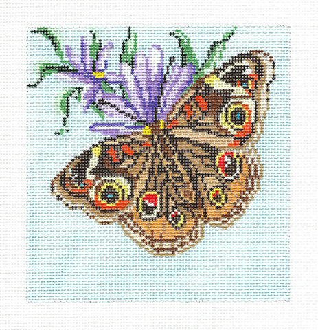 Butterfly Canvas ~ Buckeye Butterfly 5" Sq. handpainted 18 mesh Needlepoint Canvas by Needle Crossings