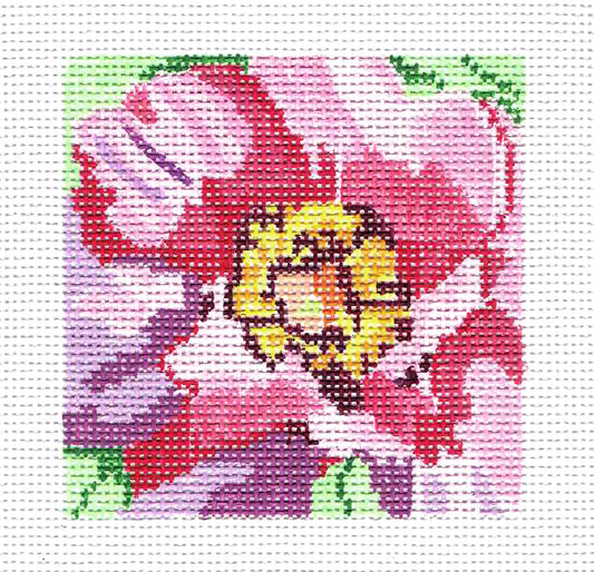Coaster ~ Duchess Pink Peony 4" Coaster handpainted Needlepoint Canvases 13 mesh by Jean Smith