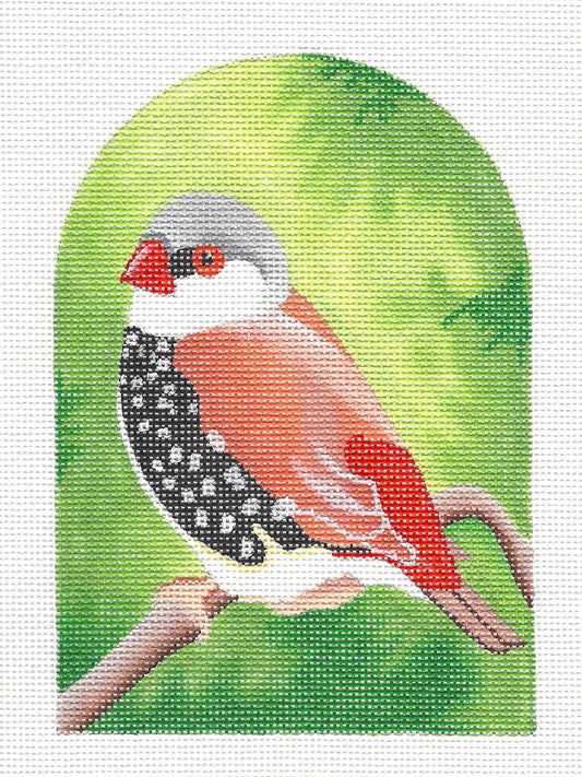 Bird Canvas ~ Red and Black Spotted Finch handpainted Needlepoint Canvas by Raymond Crawford
