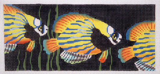 Canvas Insert ~ 3 Tropical Fish by Leigh Design ~ handpainted Needlepoint Canvas BB Insert LEE
