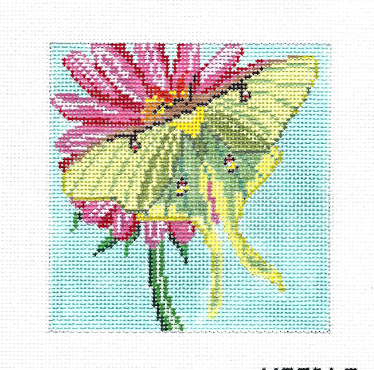 Luna Moth on Blossom 4.0" Sq. Handpainted Needlepoint Canvas by Needle Crossings