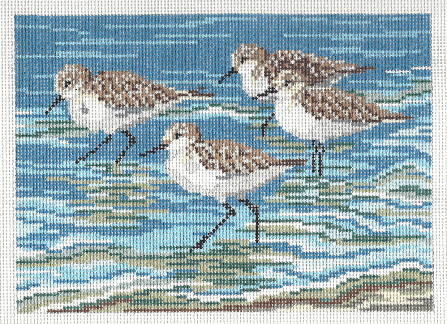 Bird Canvas ~ Four Sanderlings On The Beach 13 mesh handpainted Needlepoint Canvas by Needle Crossings