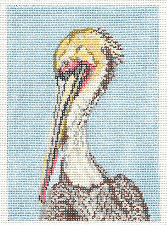 Bird Canvas ~ Brown Pelican Bird handpainted 18 mesh Needlepoint Canvas by Needle Crossings