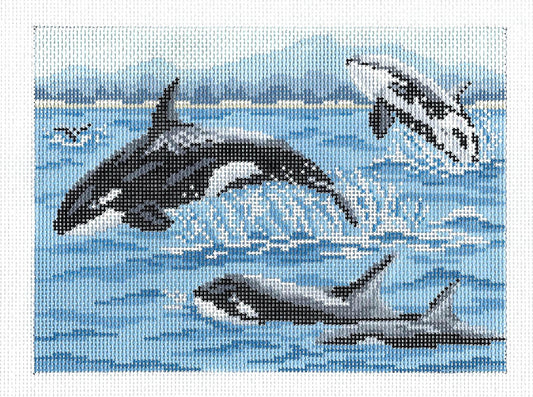 Orca Killer Whales Pod handpainted 18 Mesh Needlepoint Canvas by Needle Crossings