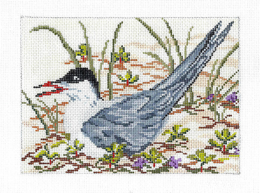 Bird Canvas ~ Common Tern Sitting on the Beach 18m handpainted Needlepoint Canvas by Needle Crossings