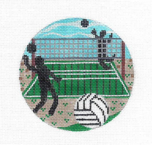 Dramatic Sports ~ VOLLEYBALL ~ handpainted Needlepoint Canvas by CH Design from Danji