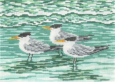 Bird Canvas ~ Three Royal Terns Shore Bird handpainted 18 mesh Needlepoint Canvas by Needle Crossings