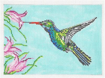 Bird Canvas ~ Broadbill Hummingbird Bird handpainted Needlepoint Canvas by Needle Crossings