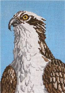 Canvas~Elegant Osprey "Fish Eagle" Bird 18 mesh handpainted Needlepoint Canvas~by Needle Crossings