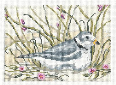 Canvas~Elegant Piping Plover Shore Bird handpainted Needlepoint Canvas~by Needle Crossings