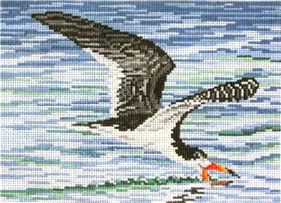 Canvas~Elegant Black Skimmer Shore Bird handpainted Needlepoint Canvas~by Needle Crossings